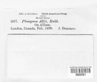 Image Associated With the Occurence